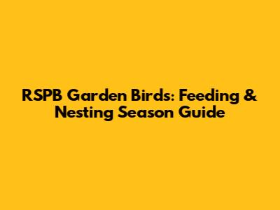 RSPB Garden Birds: Feeding & Nesting Season Guide