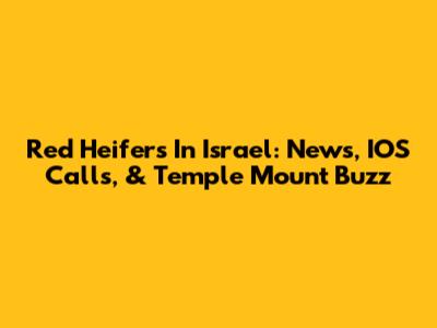 Red Heifers In Israel: News, IOS Calls, & Temple Mount Buzz
