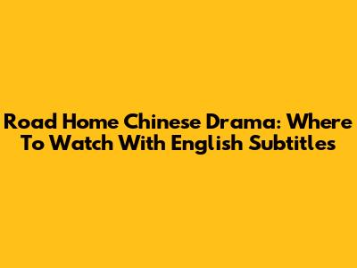 Road Home Chinese Drama: Where To Watch With English Subtitles