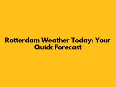 Rotterdam Weather Today: Your Quick Forecast