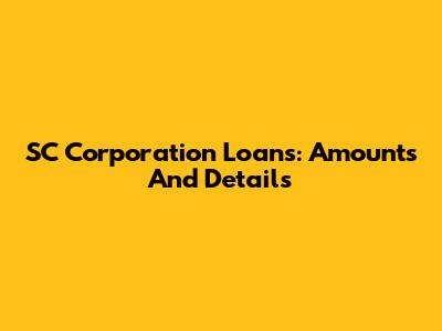 SC Corporation Loans: Amounts And Details