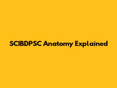 SCIBDPSC Anatomy Explained