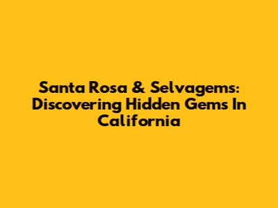 Santa Rosa & Selvagems: Discovering Hidden Gems In California