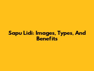 Sapu Lidi: Images, Types, And Benefits