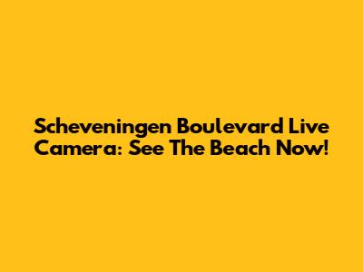 Scheveningen Boulevard Live Camera: See The Beach Now!