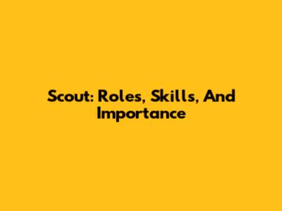 Scout: Roles, Skills, And Importance