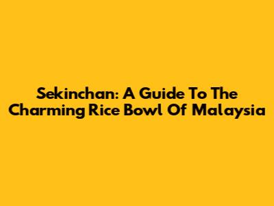 Sekinchan: A Guide To The Charming Rice Bowl Of Malaysia