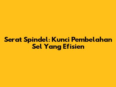 Serat Spindel: Kunci Pembelahan Sel Yang Efisien