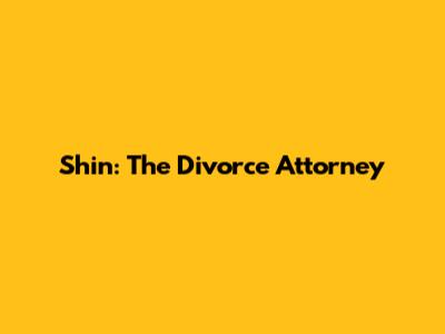 Shin: The Divorce Attorney