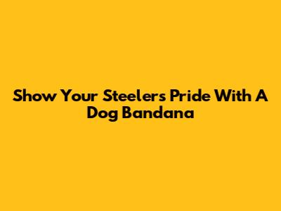 Show Your Steelers Pride With A Dog Bandana