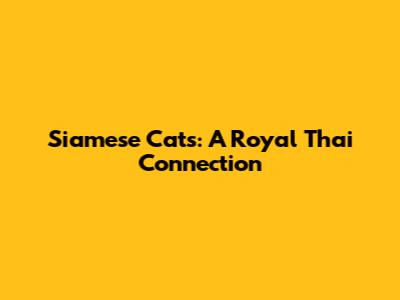 Siamese Cats: A Royal Thai Connection
