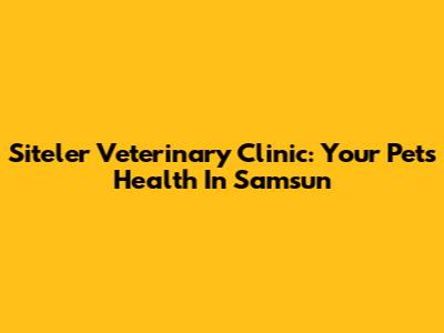 Siteler Veterinary Clinic: Your Pet's Health In Samsun