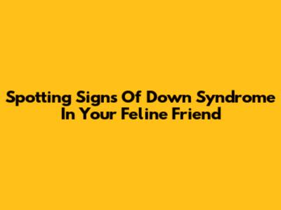 Spotting Signs Of Down Syndrome In Your Feline Friend