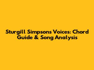 Sturgill Simpson's Voices: Chord Guide & Song Analysis