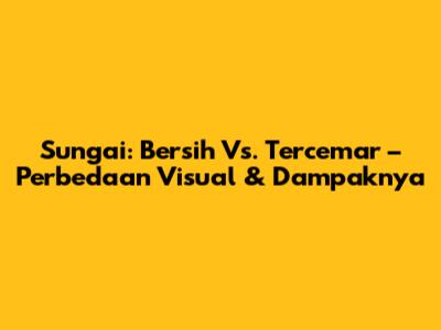 Sungai: Bersih Vs. Tercemar – Perbedaan Visual & Dampaknya