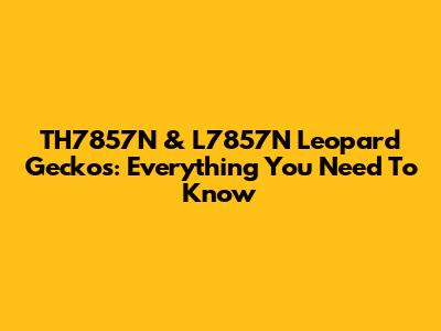 TH7857N & L7857N Leopard Geckos: Everything You Need To Know
