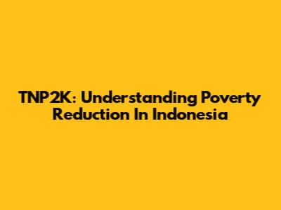 TNP2K: Understanding Poverty Reduction In Indonesia