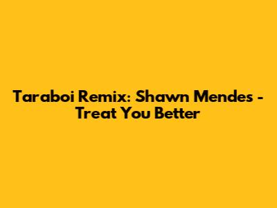 Taraboi Remix: Shawn Mendes - Treat You Better