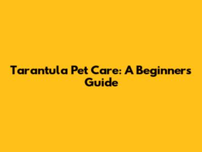 Tarantula Pet Care: A Beginner's Guide