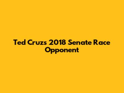 Ted Cruz's 2018 Senate Race Opponent
