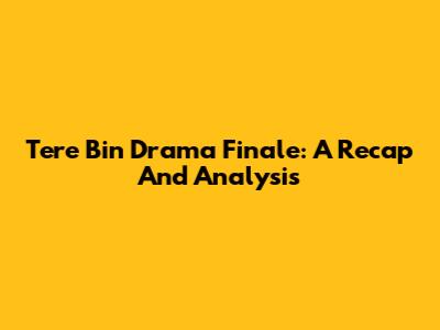Tere Bin Drama Finale: A Recap And Analysis