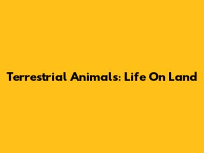 Terrestrial Animals: Life On Land