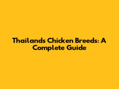 Thailand's Chicken Breeds: A Complete Guide