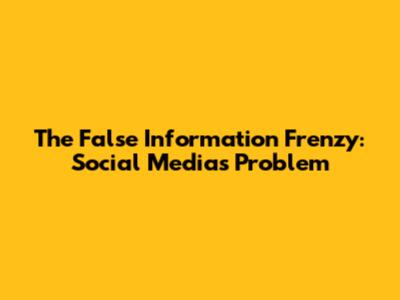 The False Information Frenzy: Social Media's Problem
