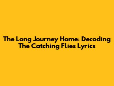 The Long Journey Home: Decoding The 'Catching Flies' Lyrics