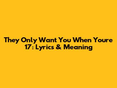 They Only Want You When You're 17: Lyrics & Meaning