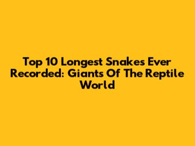 Top 10 Longest Snakes Ever Recorded: Giants Of The Reptile World