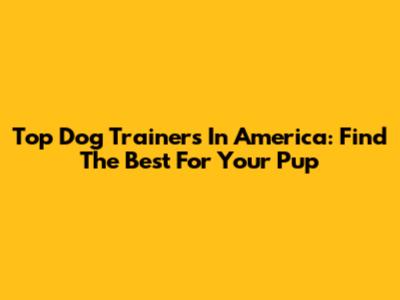 Top Dog Trainers In America: Find The Best For Your Pup