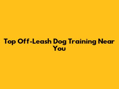 Top Off-Leash Dog Training Near You