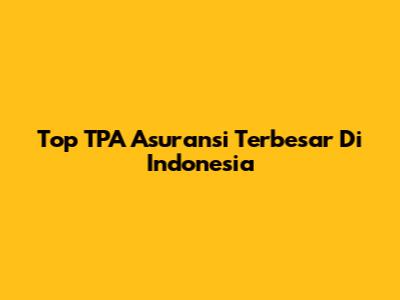 Top TPA Asuransi Terbesar Di Indonesia