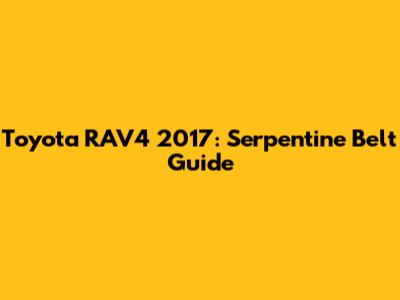 Toyota RAV4 2017: Serpentine Belt Guide
