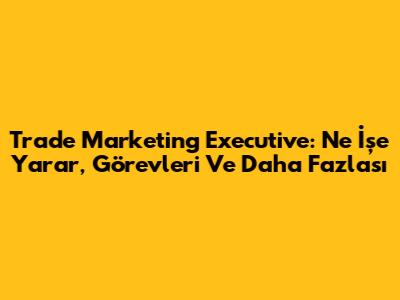 Trade Marketing Executive: Ne İşe Yarar, Görevleri Ve Daha Fazlası