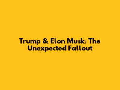 Trump & Elon Musk: The Unexpected Fallout