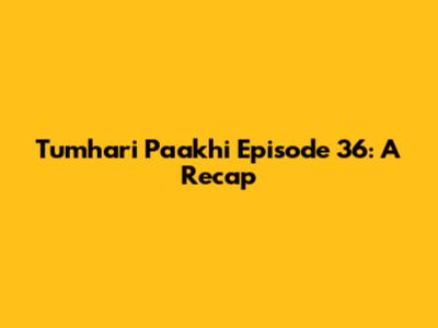Tumhari Paakhi Episode 36: A Recap