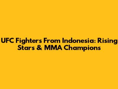 UFC Fighters From Indonesia: Rising Stars & MMA Champions