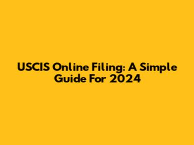 USCIS Online Filing: A Simple Guide For 2024