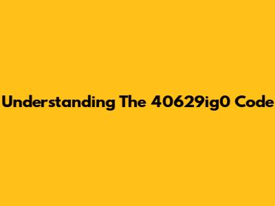 Understanding The "40629ig0" Code