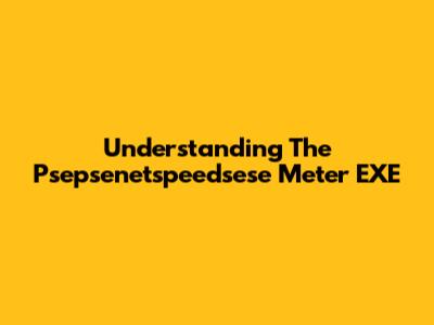 Understanding The Psepsenetspeedsese Meter EXE