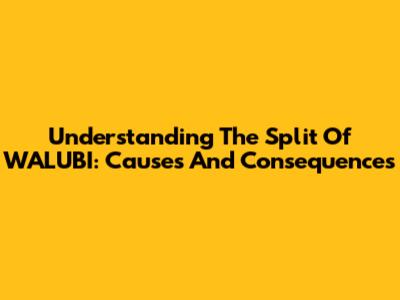 Understanding The Split Of WALUBI: Causes And Consequences