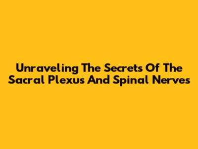 Unraveling The Secrets Of The Sacral Plexus And Spinal Nerves