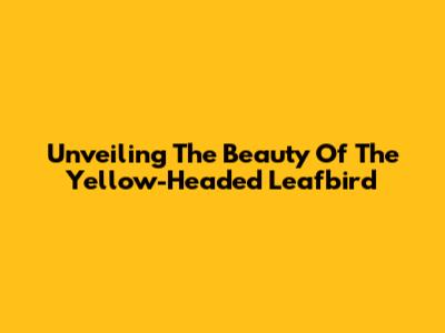 Unveiling The Beauty Of The Yellow-Headed Leafbird