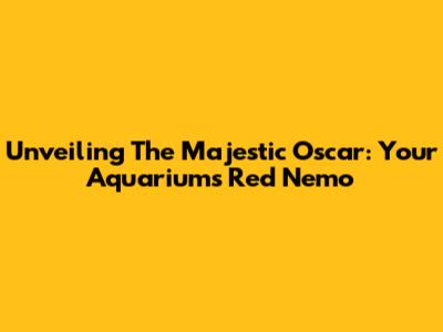Unveiling The Majestic Oscar: Your Aquarium's Red Nemo