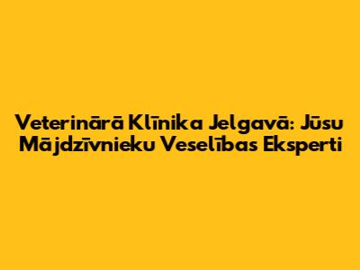 Veterinārā Klīnika Jelgavā: Jūsu Mājdzīvnieku Veselības Eksperti