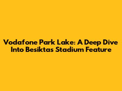 Vodafone Park Lake: A Deep Dive Into Besiktas' Stadium Feature