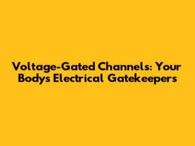 Voltage-Gated Channels: Your Body's Electrical Gatekeepers