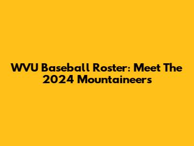 WVU Baseball Roster: Meet The 2024 Mountaineers